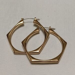 Elegant Gold Hoop Earrings